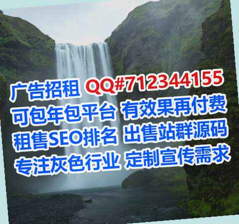 阳信助孕系统集成工作室