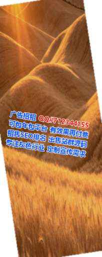 姚安卵妹网络科技工作室