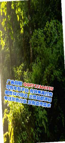 沂源试管土木工程工作室