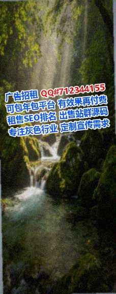 营山借卵子林业公司