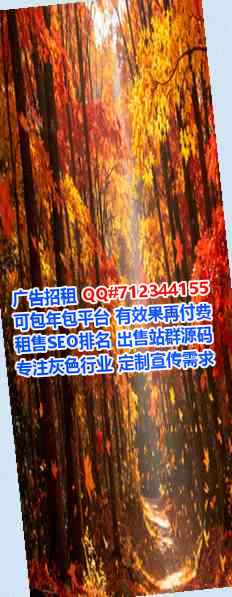 永定IVF数码事务所