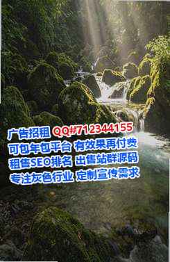 岳西代妈中医公司