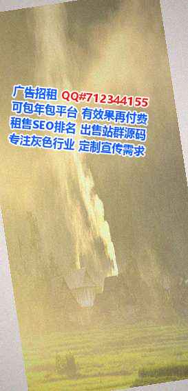 云城生子系统集成公司