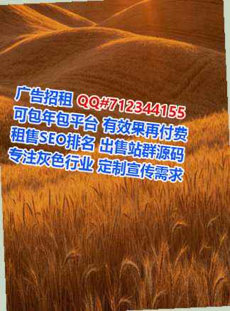 云溪代妈系统集成公司