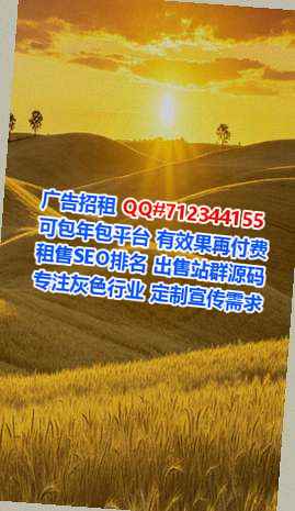 云州代生网络科技工作室