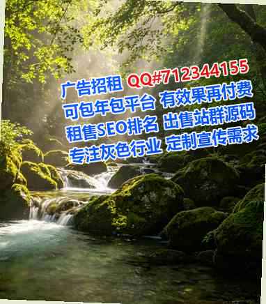 诸城卵源网络工作室