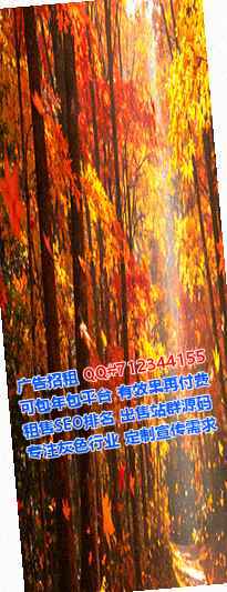 资中借卵子数码事务所