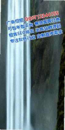 凤县代母信息有限公司