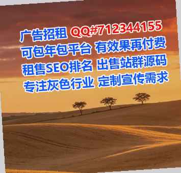 广陵代母科技服务公司